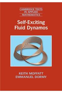 Self-Exciting Fluid Dynamos