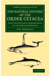 Natural History of the Order Cetacea