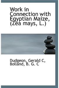 Work in Connection with Eqyptian Maize, (Zea Mays, L.)