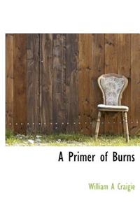 A Primer of Burns