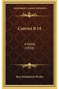 Convict B 14: A Novel (1920)