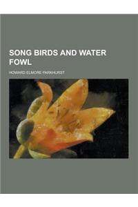 Song Birds and Water Fowl