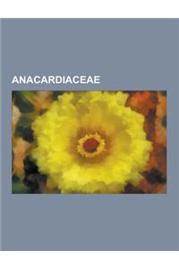 Anacardiaceae: Noix de Cajou, Mangue, Rhus Taitensis, Pistachier Lentisque, Pistachier Terebinthe, Sumac de Virginie, Marula, Manguie