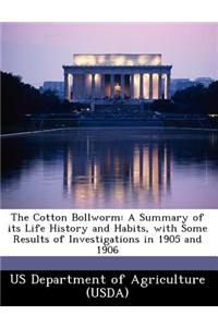 The Cotton Bollworm