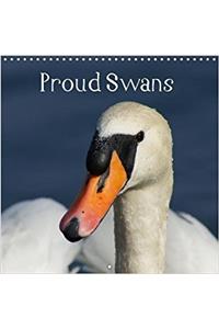 Proud Swans 2018