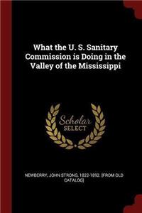 What the U. S. Sanitary Commission is Doing in the Valley of the Mississippi