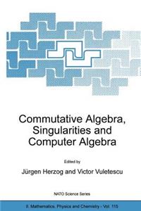Commutative Algebra, Singularities and Computer Algebra