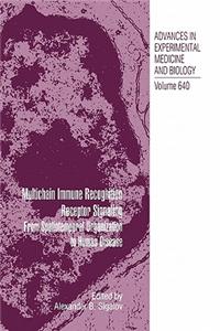 Multichain Immune Recognition Receptor Signaling