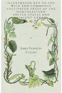Illustrated Key to the Wild and Commonly Cultivated Trees of the Northeastern United States and Adjacent Canada