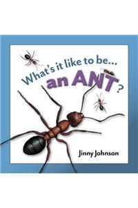 Ant