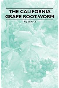 The California Grape Root-Worm