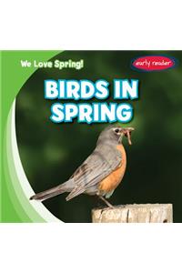 Birds in Spring