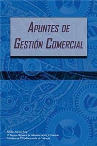 Apuntes de Gestion Comercial