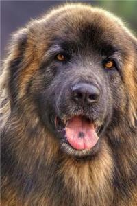 The Leonberger Dog Journal: 150 page lined notebook/diary