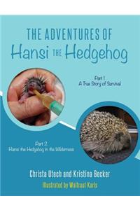 The Adventures of Hansi the Hedgehog