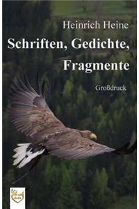 Schriften, Gedichte, Fragmente (Großdruck)