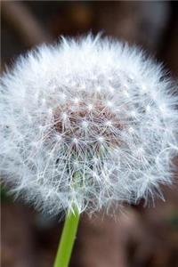 Make a Wish Fluffy White Dandelion Gone to Seed Journal