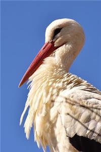 Awesome Portrait of a Stork in Profile Bird Journal