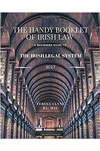 The Irish Legal System for Beginners