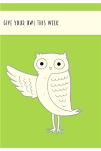 Give Your Owl This Week