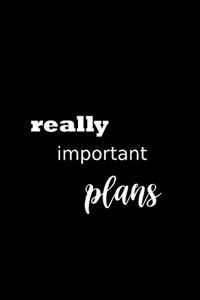 2020 Daily Planner Funny Humorous Really Important Plans 388 Pages