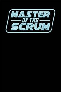 Master of the Scrum