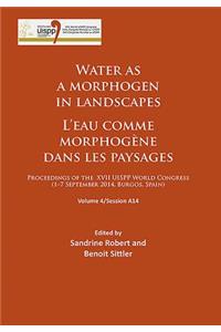 Water as a morphogen in landscapes/L’eau comme morphogene dans les paysages