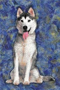 Siberian Husky