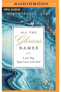 All the Glorious Names: A 40-Day Experience with God