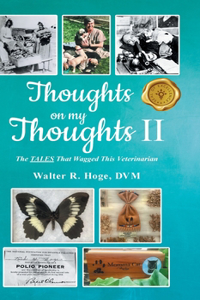 Thoughts on my Thoughts II