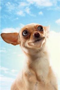 Funny Dog March Notebook & Journal. Productivity Work Planner & Idea Notepad