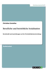 Berufliche und betriebliche Sozialisation