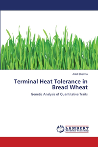 Terminal Heat Tolerance in Bread Wheat