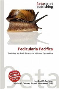 Pedicularia Pacifica