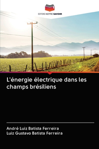 L'énergie électrique dans les champs brésiliens