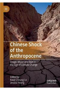 Chinese Shock of the Anthropocene