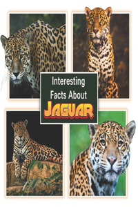 Interesting Facts About Jaguars