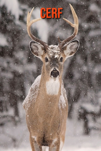 Cerf