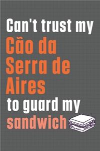 Can't trust my Cão da Serra de Aires to guard my sandwich