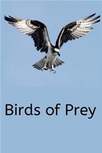 Birds of Prey