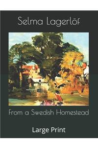 From a Swedish Homestead