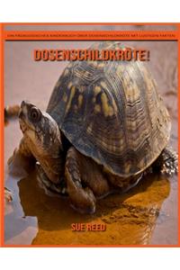 Dosenschildkröte! Ein pädagogisches Kinderbuch über Dosenschildkröte mit lustigen Fakten