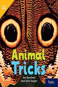 Animal Tricks