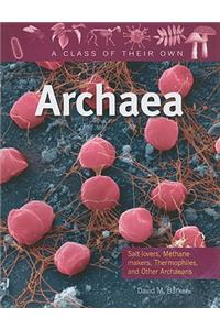 Archaea