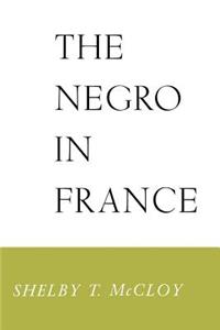 The Negro in France