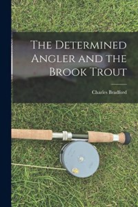 Determined Angler and the Brook Trout