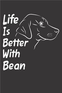 Life Is Better With Bean