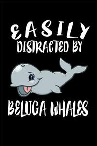 Easily Distracted By Beluga Whales