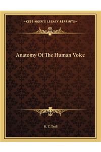 Anatomy of the Human Voice