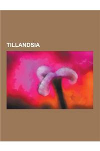 Tillandsia: Spanish Moss, List of Tillandsia Species, Tillandsia Subg. Allardtia, Tillandsia Recurvata, Tillandsia Subg. Anoplophy